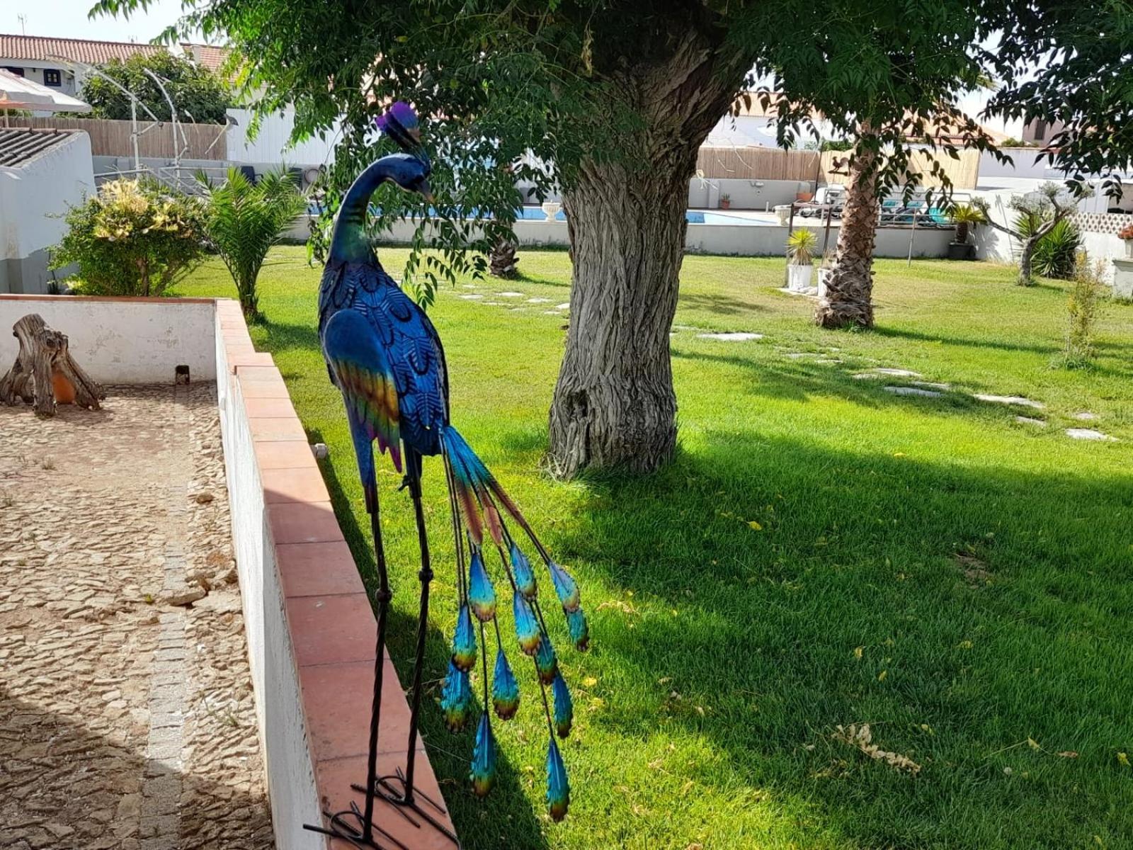 לינה וארוחת בוקר קאזה בראנקה Pateo Do Morgado - Turismo De Habitacao מראה חיצוני תמונה